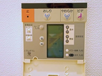 Toilettensteuerung