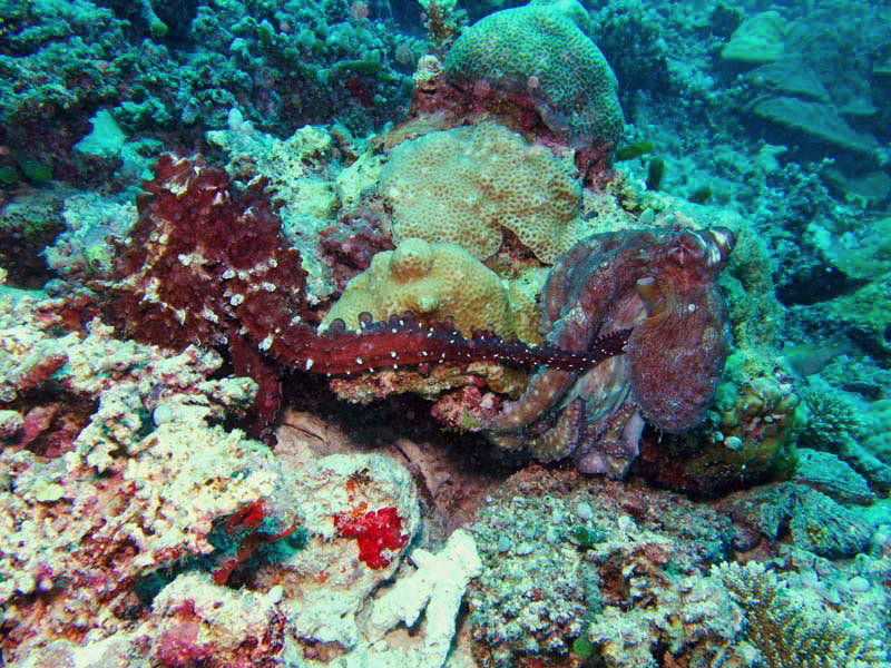 Stacks Image 1104