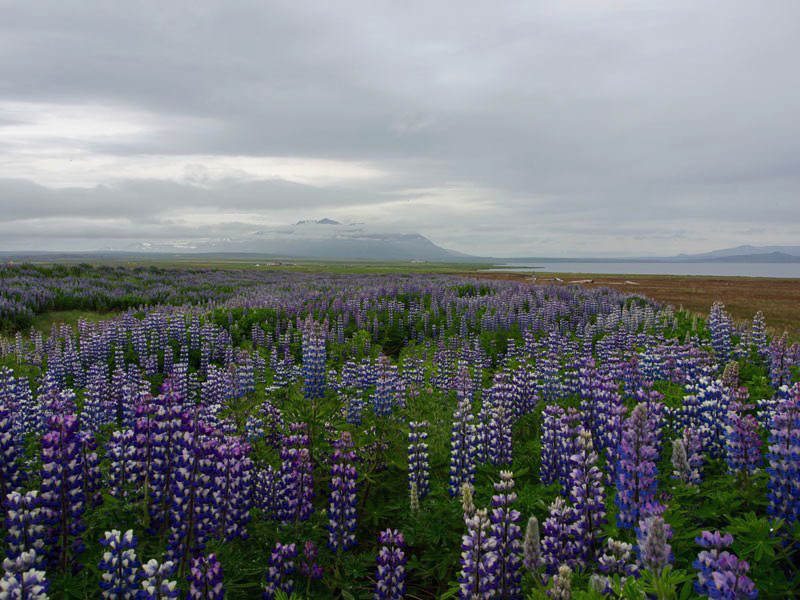 Stacks Image 1106
