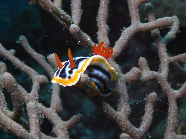 Stacks Image 1116